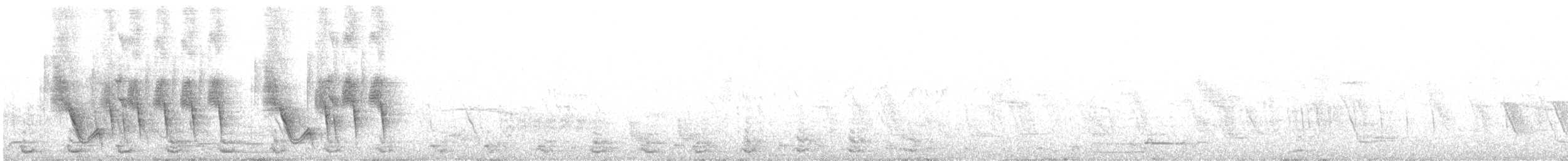 Scrub Blackbird - ML646521438