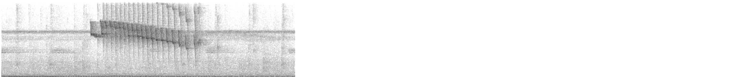 Rufous-tailed Hummingbird - ML646521605