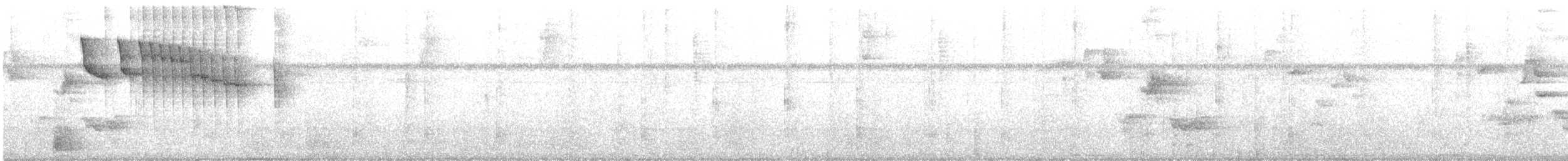 Rufous-tailed Hummingbird - ML646521606