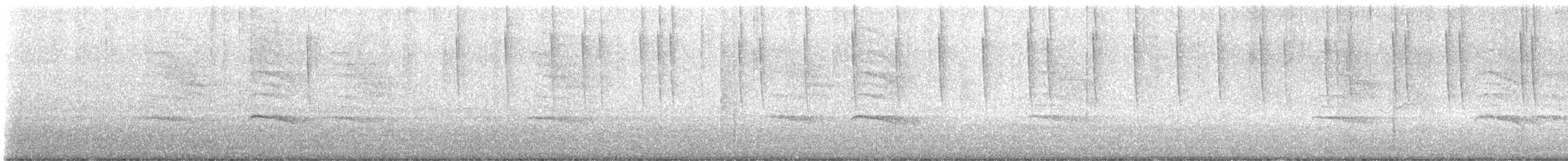 Calliope Hummingbird - ML646521739