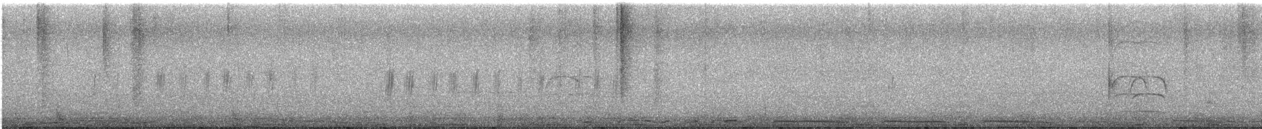 Northern Rough-winged Swallow - ML646521766