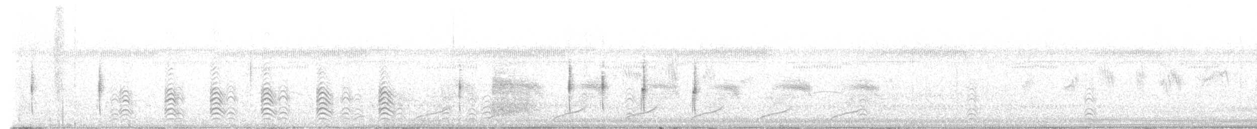 Râle grêle - ML646522089