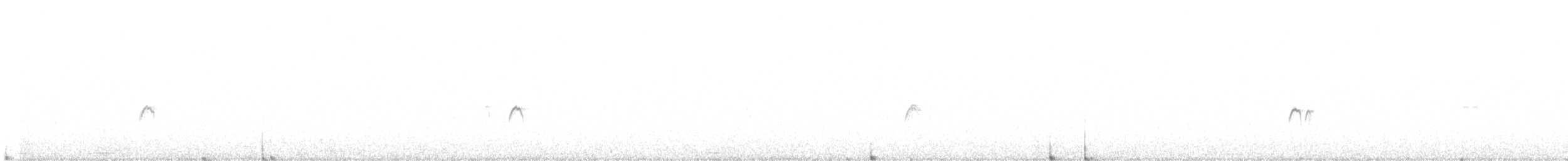 Plumbeous Rail - ML646522171