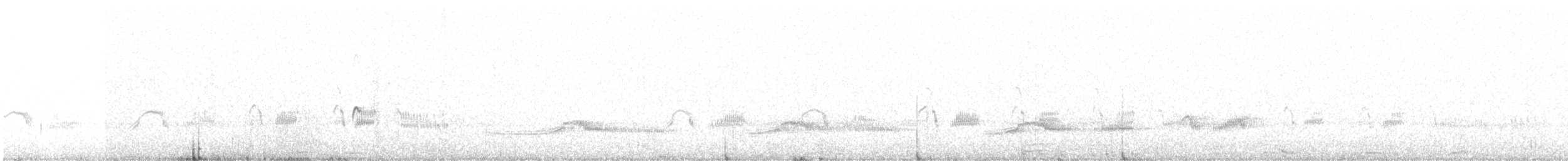 Plumbeous Rail - ML646522172