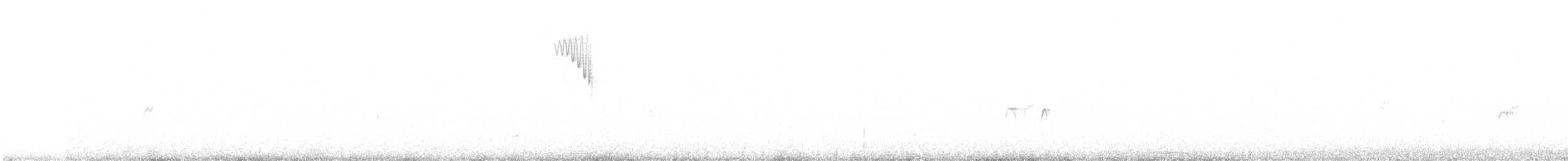 Chiguanco Thrush - ML646522204