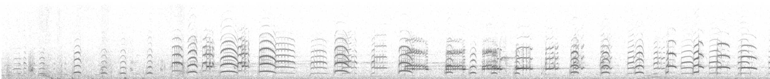 Andean Gull - ML646522273