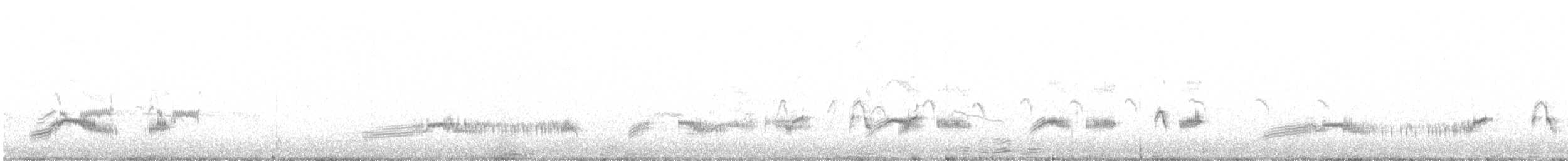 Plumbeous Rail - ML646522296