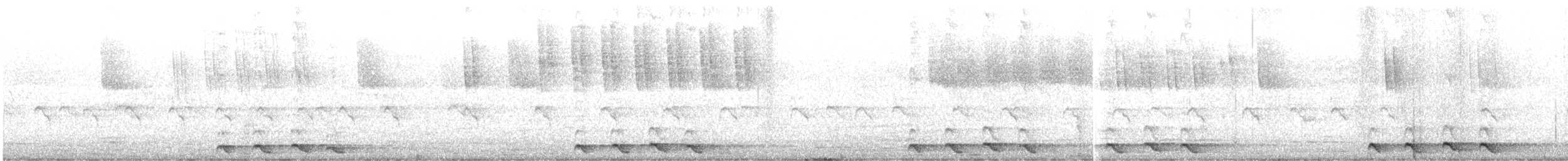 Madagaskarkuckuck - ML646523464