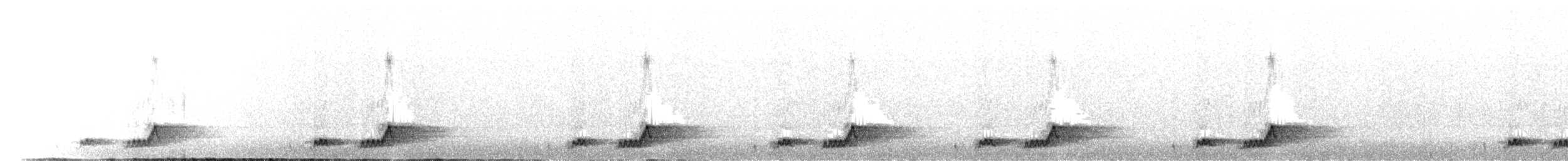 Mexikonachtschwalbe - ML646523700