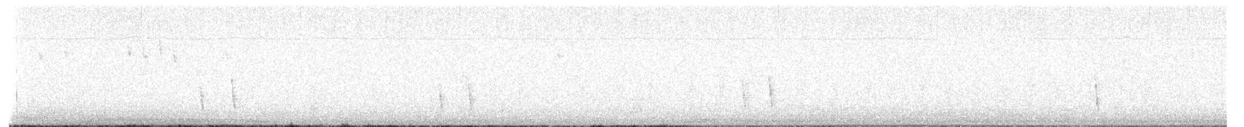 Einsiedler-Musendrossel - ML646523801