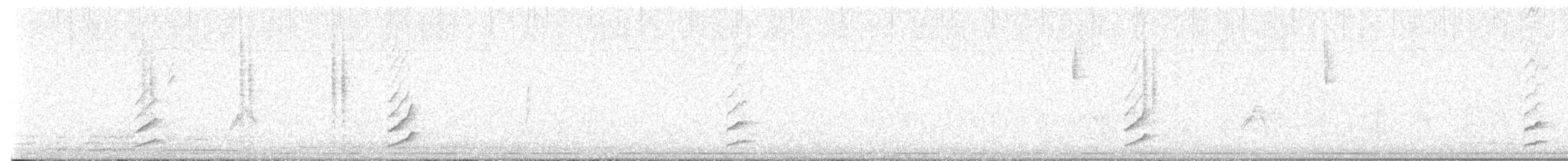 Trauerseidenschnäpper - ML646523824