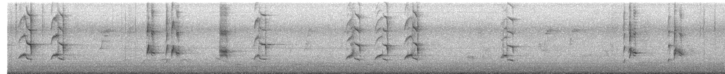 Oriental Magpie-Robin (Oriental) - ML646523953