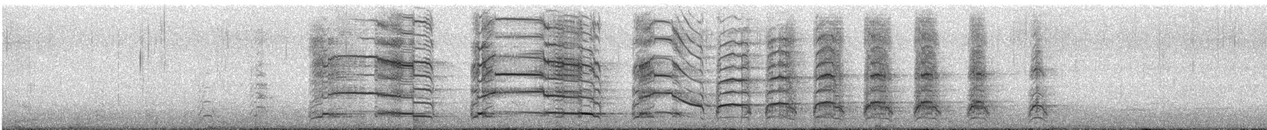 Gavina (canus) - ML646524035