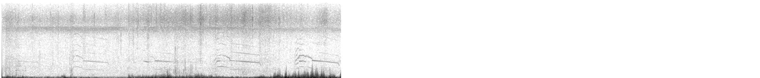 Red-shouldered Hawk - ML646524411