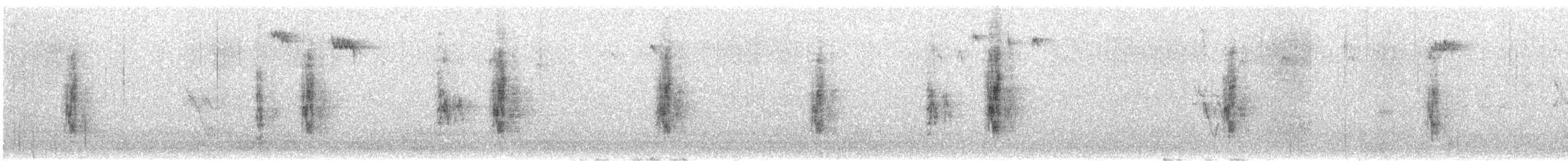 Passera mattugia - ML646524472