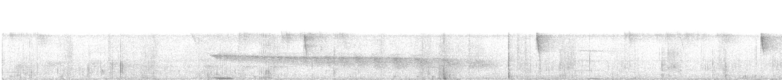 White-bellied Antbird - ML646524592