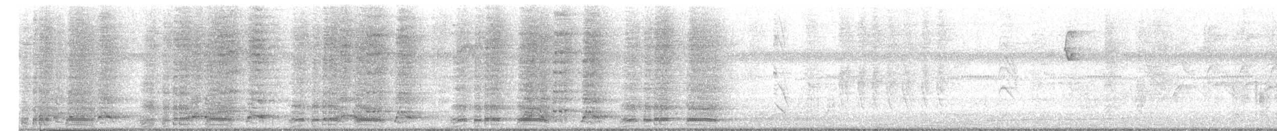 Rufous-vented Chachalaca - ML646524621