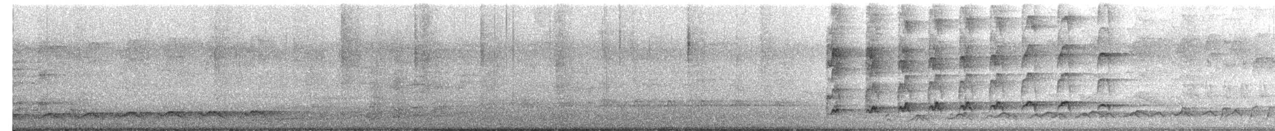 噪鵑 - ML646524675