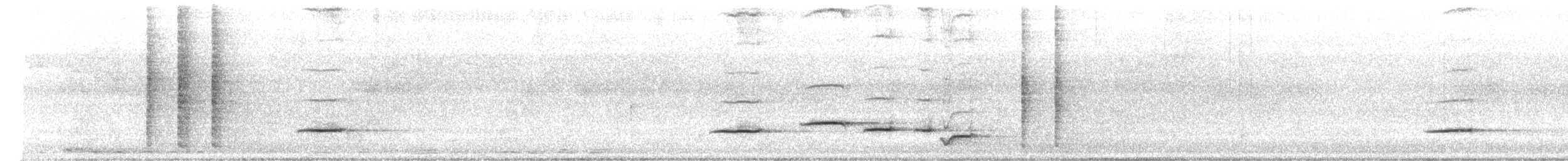 White-rumped Shama - ML646524788