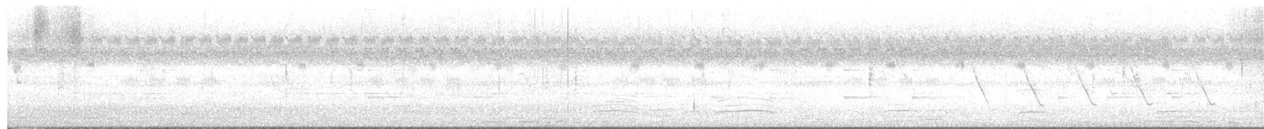 Pavone - ML646524844