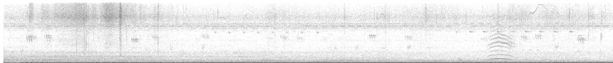 Tortora dal collare - ML646524945