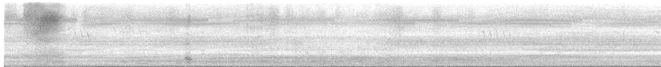 Greater Coucal - ML646524981