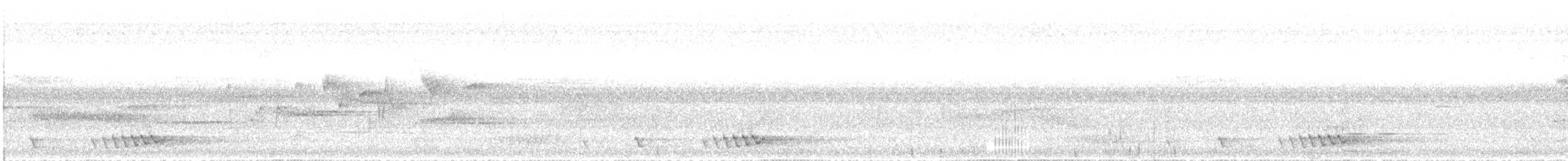 barbet zlatošíjný - ML646525079