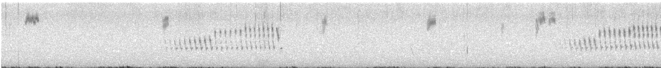 Pampas Pipit - ML646525440