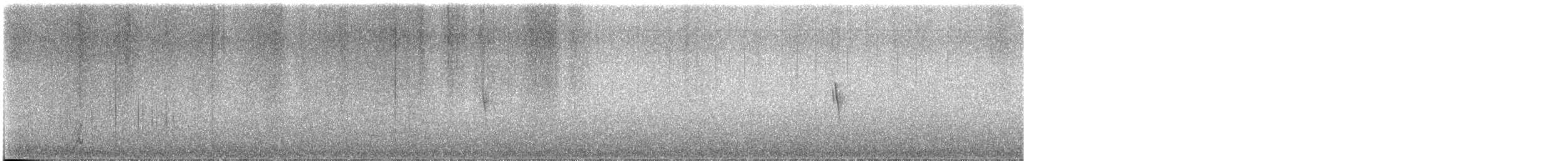 budníček balkánský - ML646525839