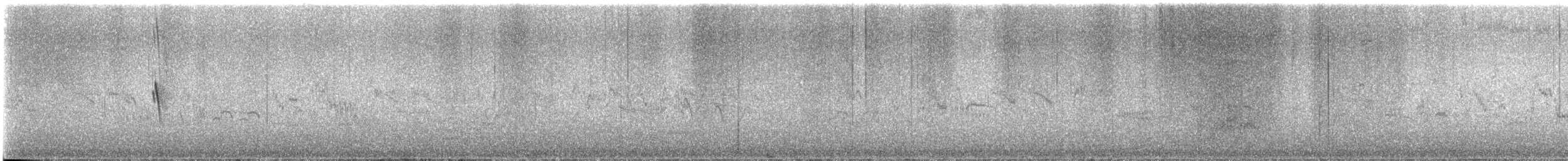 budníček balkánský - ML646525855