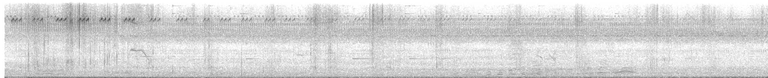 Black Drongo - ML646526232