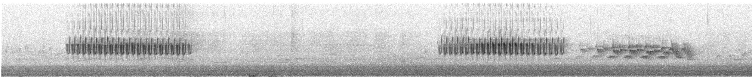 Junco ardoisé (groupe oreganus) - ML646526233