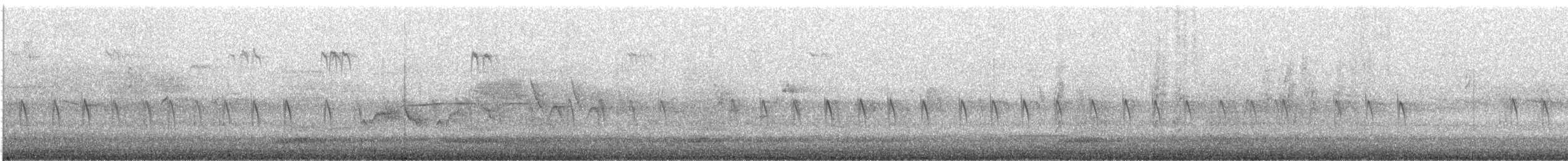 Bec-croisé des sapins (type 3) - ML646526411