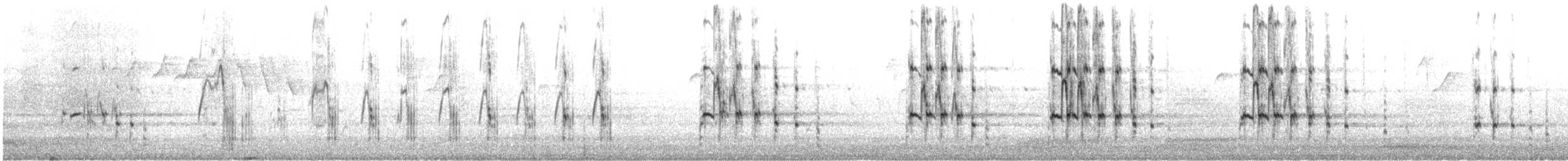 Pygargue à tête blanche - ML646526418