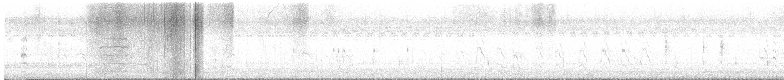 Gallinule poule-d'eau - ML646526560