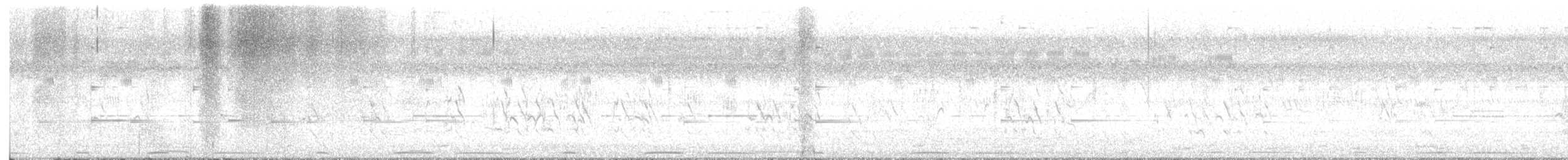 Perruche à collier - ML646526596