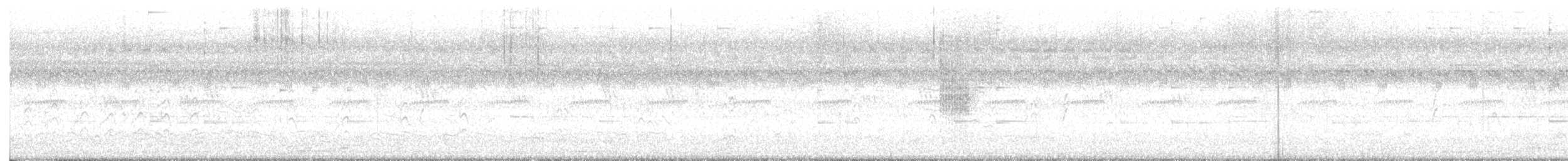 Large Gray Babbler - ML646526719