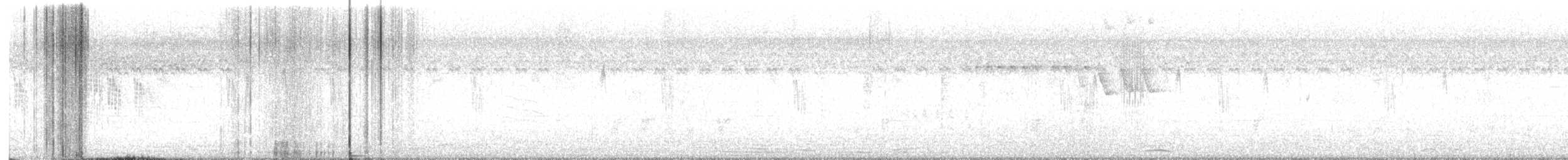 White-browed Wagtail - ML646526807