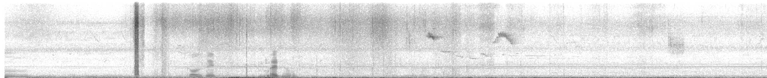 Chevalier guignette - ML646526886