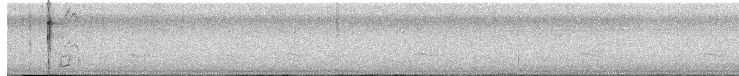 Groove-billed Ani - ML646526901