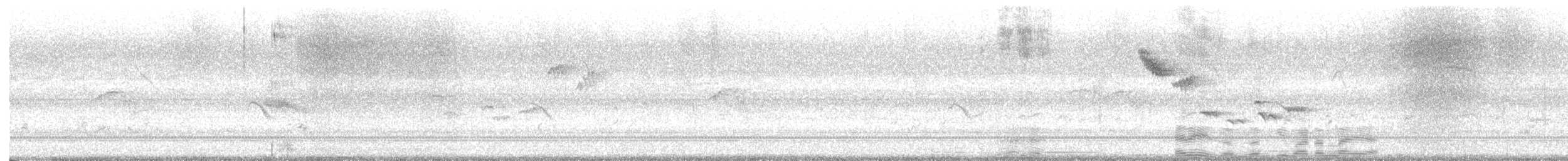 Zostérops oriental - ML646526929