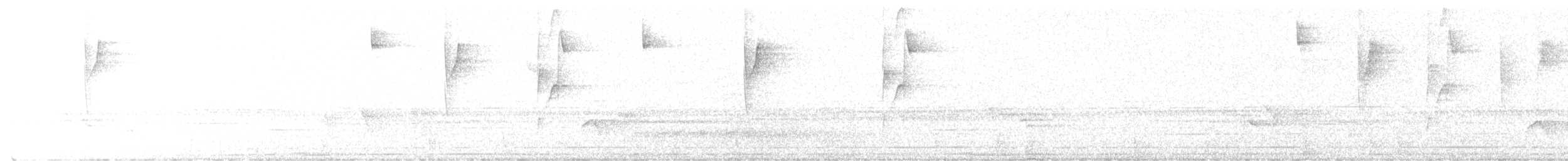 Ermite hirsute - ML646527221