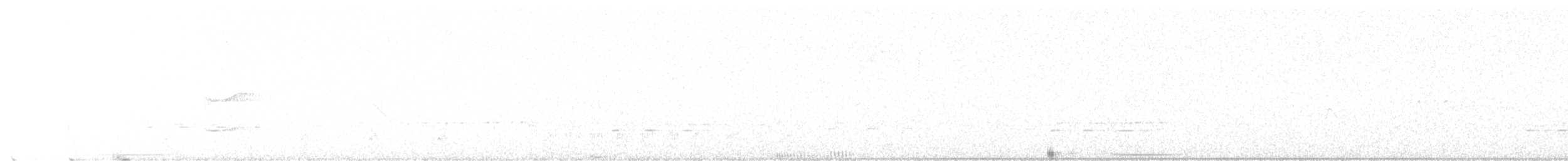 Colombe bridée - ML646527577