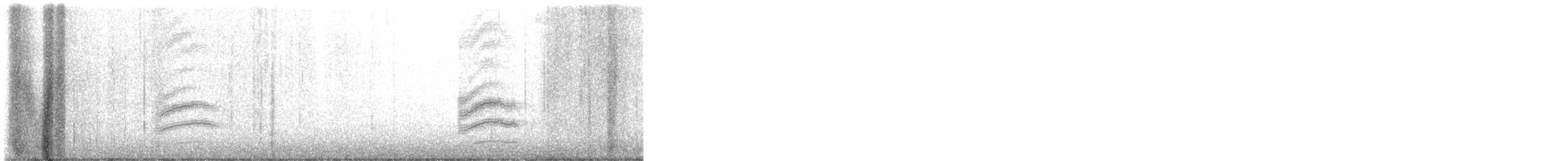 Spotted Towhee - ML646527759