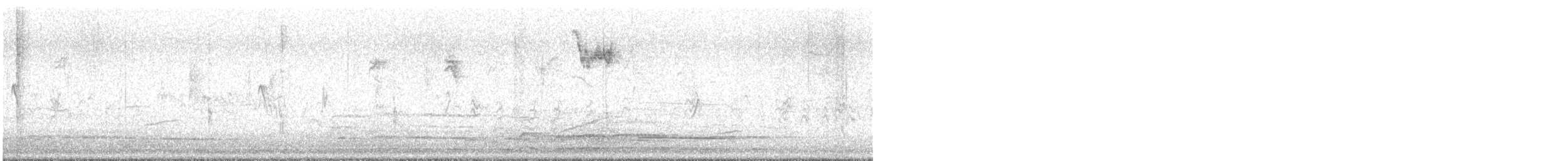 new world sparrow sp. - ML646528066