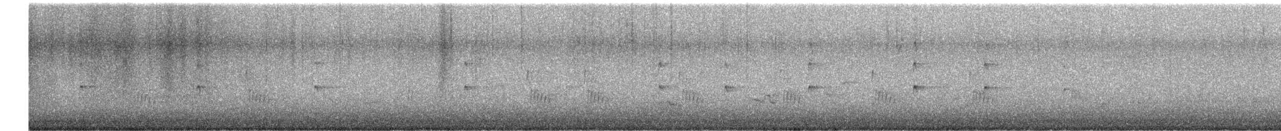 Carolina Wren - ML646528594