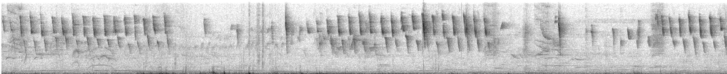סבכון טנסי - ML646529110