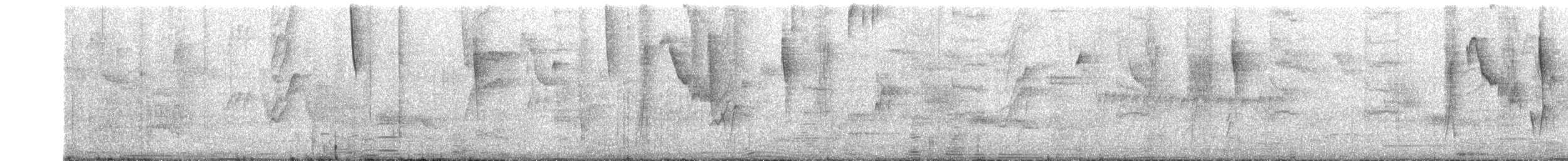 סבכון טנסי - ML646529111