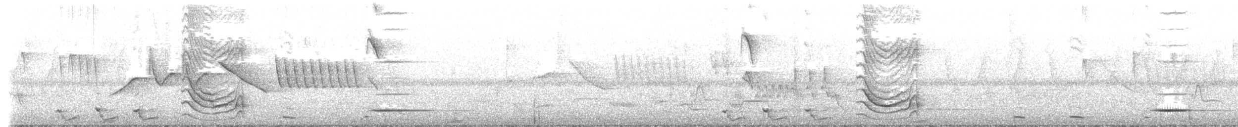 Solitary Black Cacique - ML646529846