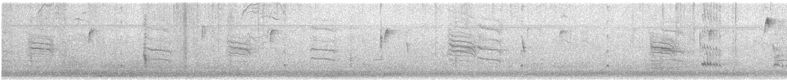 Ash-throated Flycatcher - ML646529999